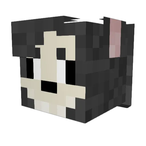 Assasin_Mal0 Minecraft avatar head, 3D render