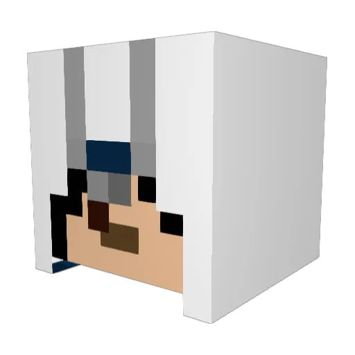 Assasine007 Minecraft avatar head, 3D render