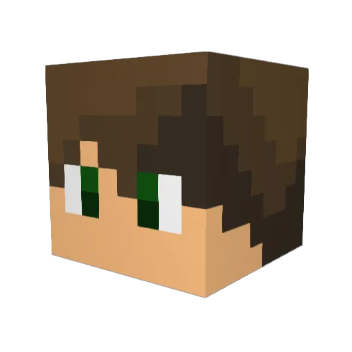 Assassin368 Minecraft avatar head, 3D render