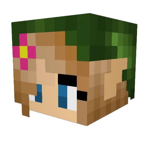Assassin492 Minecraft avatar head, 3D render