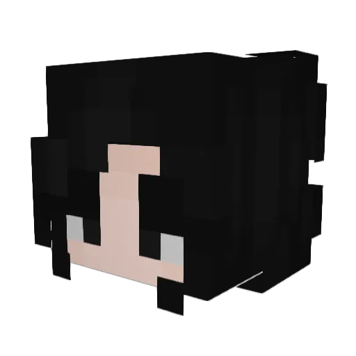 AssassinAshe Minecraft avatar head, 3D render