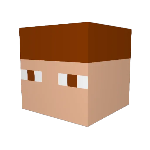 AssassinCooki99 Minecraft avatar head, 3D render