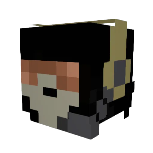 AssassinFox255 Minecraft avatar head, 3D render