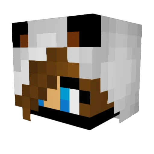 AssassinGirl25 Minecraft avatar head, 3D render