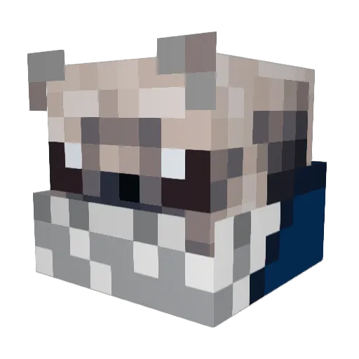 AssassinPugs Minecraft avatar head, 3D render