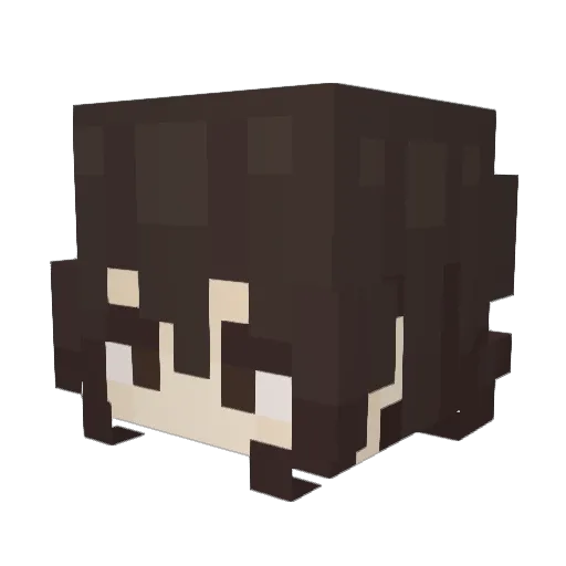 AssassinZz1 Minecraft avatar head, 3D render