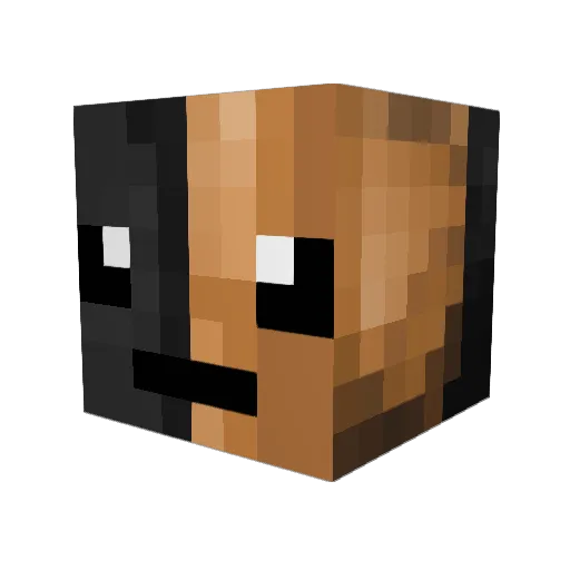 Assassin_Panda Minecraft avatar head, 3D render