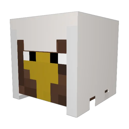 Assassinatedkiwi Minecraft avatar head, 3D render