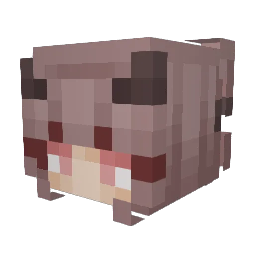 Assassincat1187_ Minecraft avatar head, 3D render