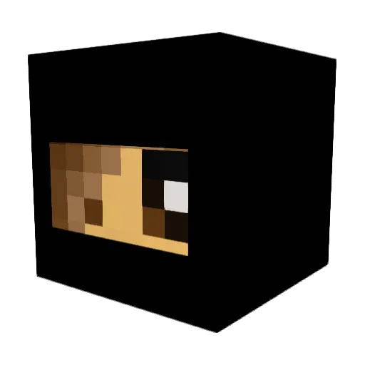 Assassincat123 Minecraft avatar head, 3D render