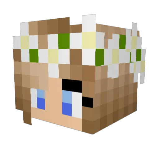 Assassinex3 Minecraft avatar head, 3D render