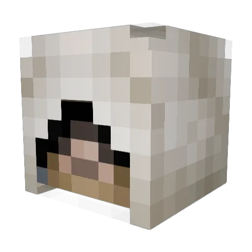 Assassingamer15 Minecraft avatar head, 3D render