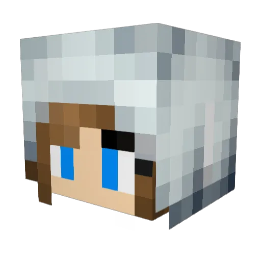 Assassingirl0711 Minecraft avatar head, 3D render
