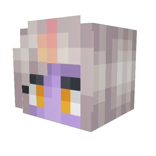 Assassini1420 Minecraft avatar head, 3D render