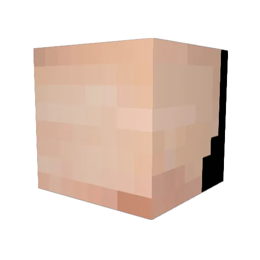 Assassins34 Minecraft avatar head, 3D render