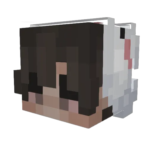 Asskat Minecraft avatar head, 3D render