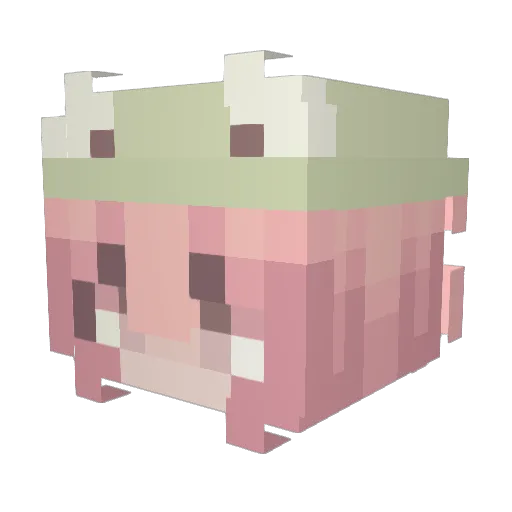 AssortedSoups Minecraft avatar head, 3D render
