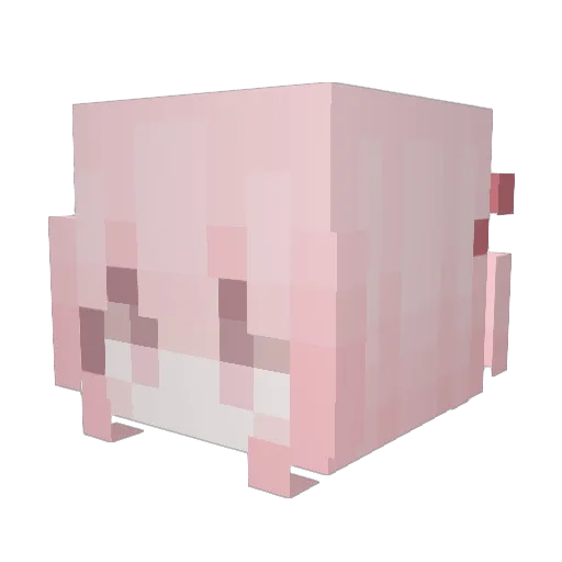 Assortrip Minecraft avatar head, 3D render
