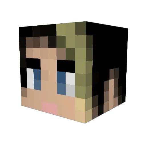 Assy_21 Minecraft avatar head, 3D render
