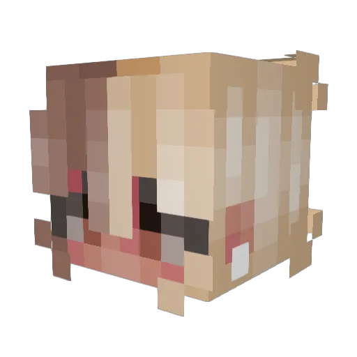 Ast3rin_ Minecraft avatar head, 3D render