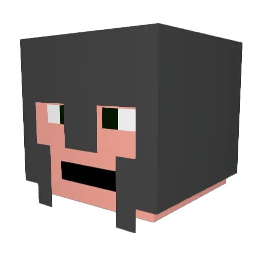 Astan74 Minecraft avatar head, 3D render