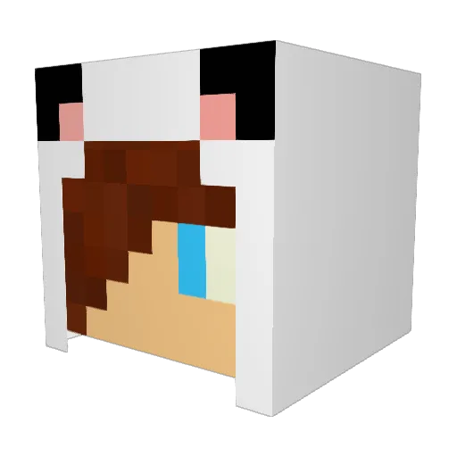 Astaroth799 Minecraft avatar head, 3D render