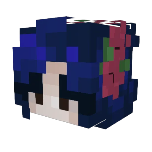 Aster0id17 Minecraft avatar head, 3D render