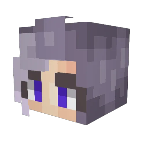 Aster2000 Minecraft avatar head, 3D render