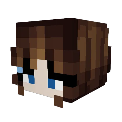AsterBlooms Minecraft avatar head, 3D render