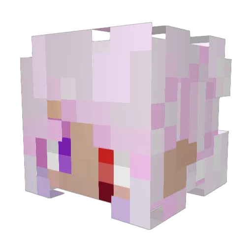 AsterNaka Minecraft avatar head, 3D render