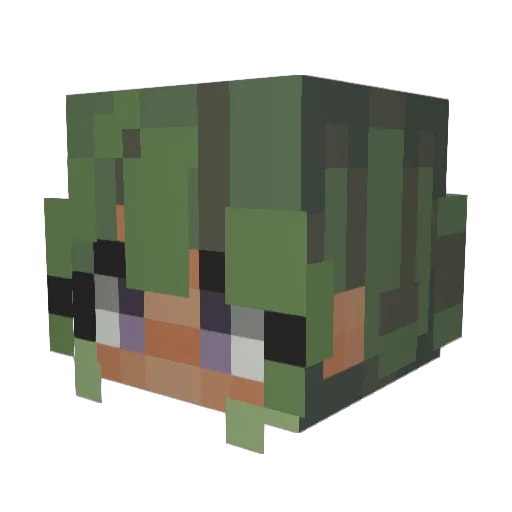 Aster_NB Minecraft avatar head, 3D render