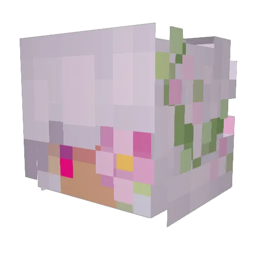 Aster_Oni Minecraft avatar head, 3D render