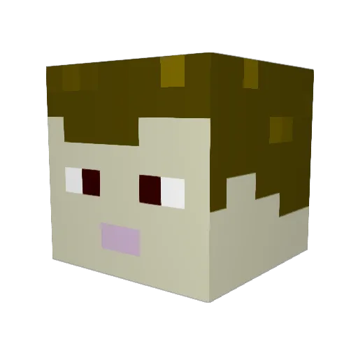 Aster_one Minecraft avatar head, 3D render