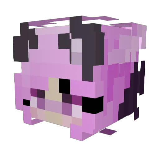 Asteria_Moon Minecraft avatar head, 3D render