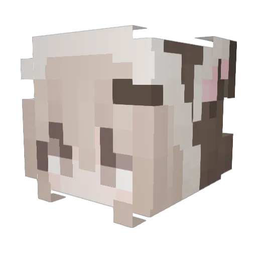 Asterialablg Minecraft avatar head, 3D render