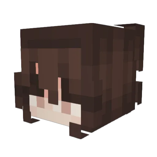 Astericks_1 Minecraft avatar head, 3D render