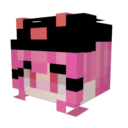Asterisk709 Minecraft avatar head, 3D render