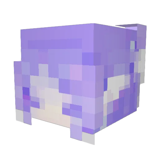 Asterisum Minecraft avatar head, 3D render