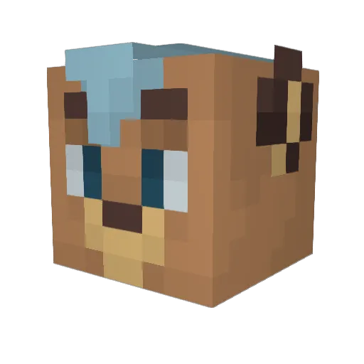 Asterleaf Minecraft avatar head, 3D render