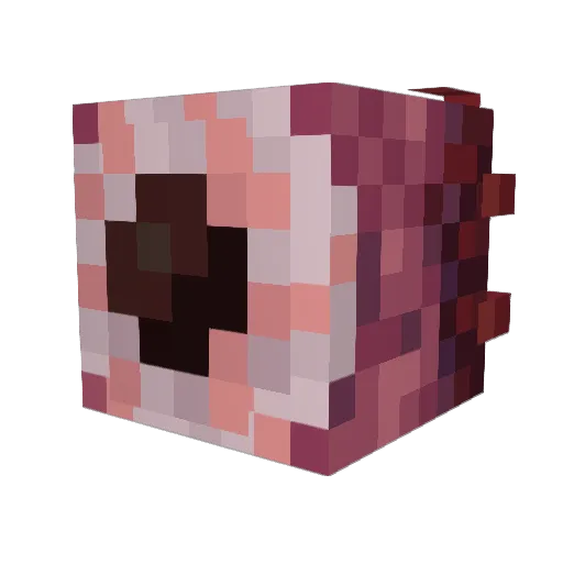 Asterlet Minecraft avatar head, 3D render