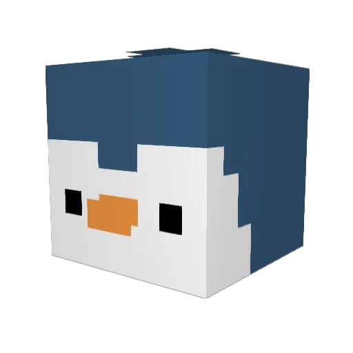 AsteroidFan77 Minecraft avatar head, 3D render