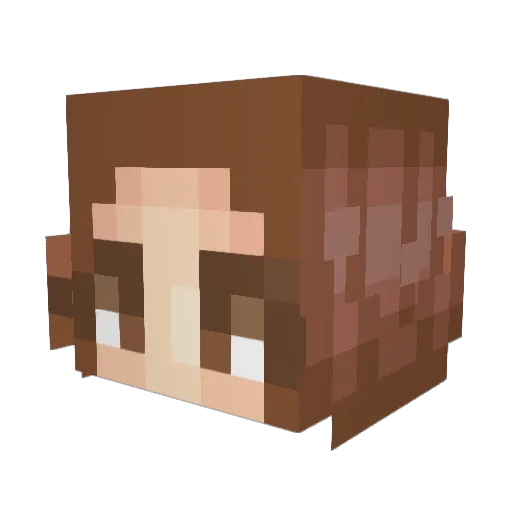 Asteroiddea Minecraft avatar head, 3D render