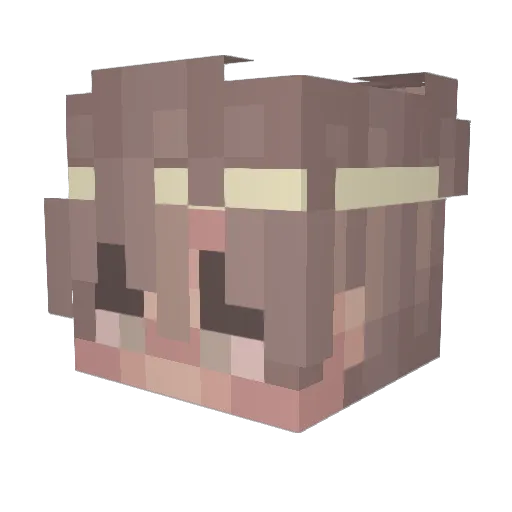 Asteruwu Minecraft avatar head, 3D render