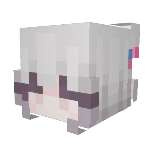 Asteyla Minecraft avatar head, 3D render