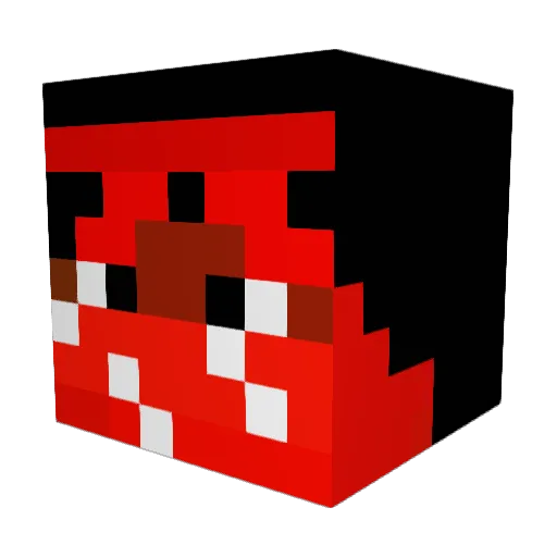 Asthmaphysik Minecraft avatar head, 3D render