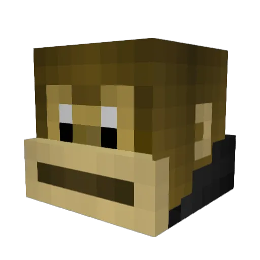 Asti99 Minecraft avatar head, 3D render