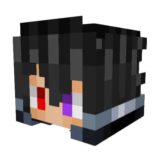 AstilNoGames Minecraft avatar head, 3D render
