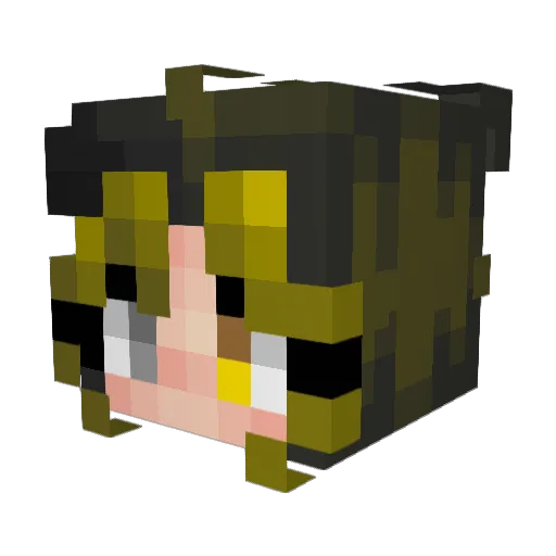 Astolfo72 Minecraft avatar head, 3D render