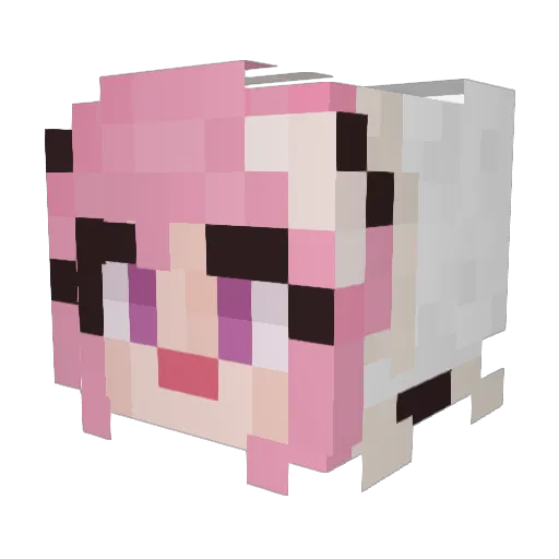 AstolfoBean Minecraft avatar head, 3D render
