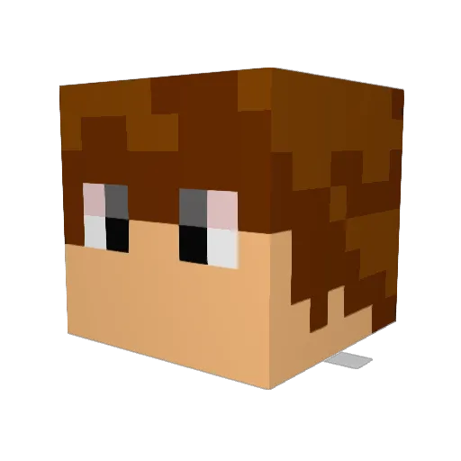 Aston42 Minecraft avatar head, 3D render